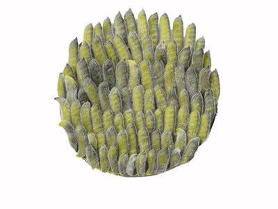 Frühling Sommer Winter Frühling