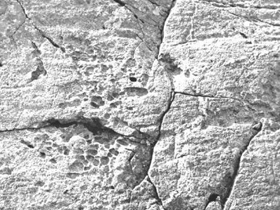 Steine - Peres - Sassi