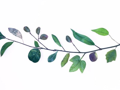 Frühling Sommer Winter Frühling