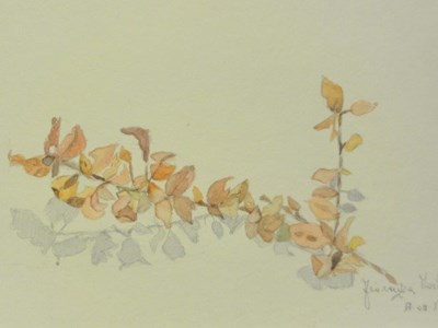 Aquarelle/acquerelli