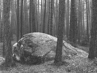 Steine - Peres - Sassi