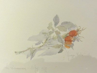 Aquarelle/acquerelli