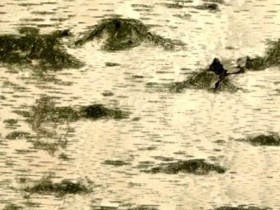 Mountain Art - Baumseelen