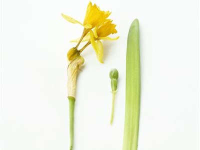 Frühling Sommer Winter Frühling