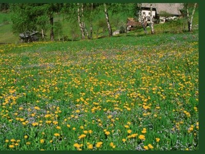 Spanische und Südtiroler Folkloremotive