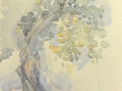 Aquarelle/acquerelli