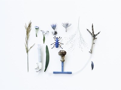 Frühling Sommer Winter Frühling