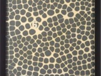 Farben & Formen - Malerei trifft Skulptur