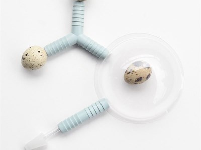 Frühling Sommer Winter Frühling