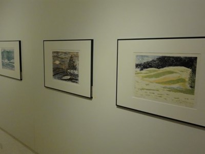 Landschaften - Farbholzschnitte