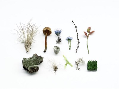 Frühling Sommer Winter Frühling