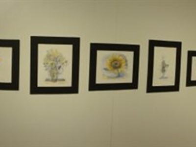 Aquarelle/acquerelli