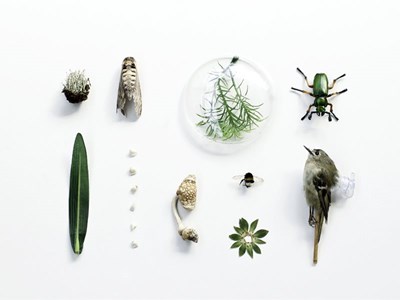 Frühling Sommer Winter Frühling