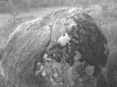 Steine - Peres - Sassi