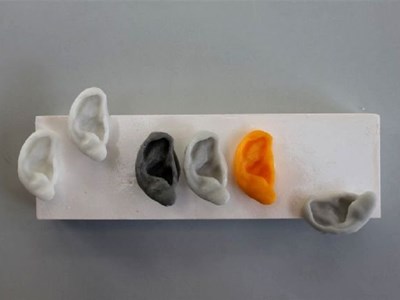 "Ich schneid mir jeden Tag ein Ohr ab!"