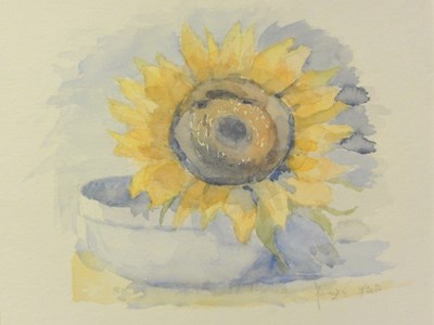 Aquarelle/acquerelli