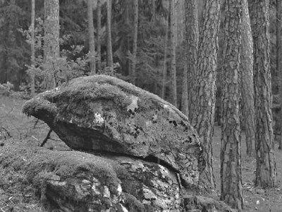 Steine - Peres - Sassi