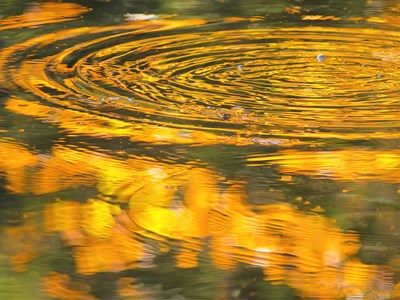 The Colours of Nature