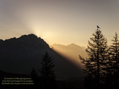 Drei Zeilen für einen Augenblick