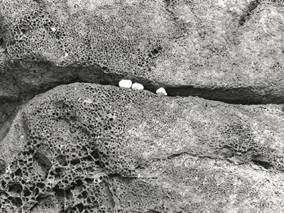 Steine - Peres - Sassi