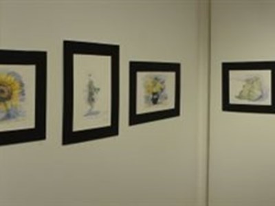 Aquarelle/acquerelli