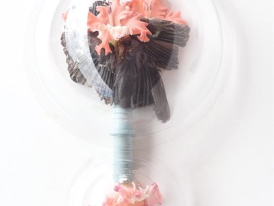 Frühling Sommer Winter Frühling