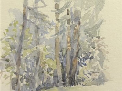 Aquarelle/acquerelli