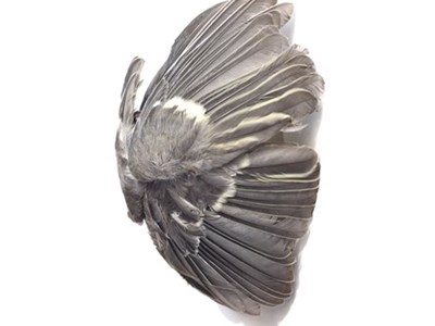 Frühling Sommer Winter Frühling