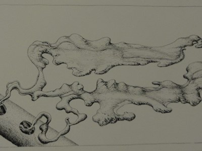 Sveti Duh - Der Geist weht wo er will